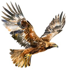 Canvas Print - Watercolor Illustration of a Golden Eagle in Flight.