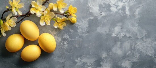 Wall Mural - Easter background featuring Easter eggs and spring flowers Yellow eggs on a gray backdrop Space for text Top view. with copy space image. Place for adding text or design