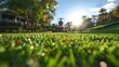© LuvTK - A wide-angle shot of a professional landscaper using a commercial lawnmower, expansive green lawn, bright sunny day, detailed and vibrant, hd quality, natural lighting, soft focus,