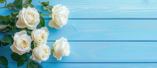 Poster - Top view of lovely white roses on a blue wooden surface. with copy space image. Place for adding text or design
