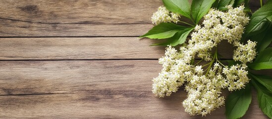 Poster - Elderflower blossoms on a wooden background Edible elderberry flowers enhance the flavor and fragrance of beverages and desserts Copy space