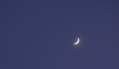 Wall Mural - half moon floating on blue sky in twilight background