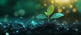 Agricultural innovation and smart farming technology displayed by a young plant.