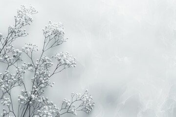 Wall Mural - light white background with a hint of a soft, blurred vignette around the edges