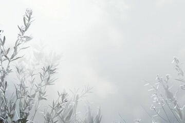 Wall Mural - light white background with a hint of a soft, blurred vignette around the edges