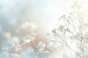 Wall Mural - light white background with a hint of a soft, blurred vignette around the edges