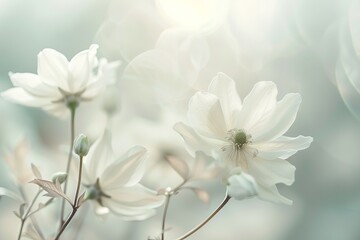 Wall Mural - light white background with a hint of a soft, blurred vignette around the edges