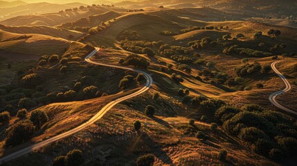 Poster - A winding road that cuts through a lush green hillside