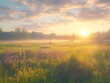 © share - Sunrise Over Foggy Meadow with Purple Flowers - Landscape Photography