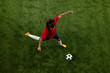 © Lustre Art Group  - Aerial view of female soccer player preparing to hit ball in motion on green lash stadium during final game. Score goal. Concept of women and sport, team games, movement, victory, action. Ad