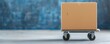 © Kanin - A single labeled cardboard box sitting on a dolly, ready for transport, highlighting ease of moving and organization