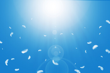 Wall Mural - abstract many white bird feathers floating in a blue sky. sunlight shines down on the feathers. soft