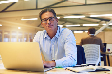 Poster - Businessman, portrait and laptop as worker, employee and accountant in finance company. Male person, technology and manager with email, project and portfolio for tax review, development and corporate