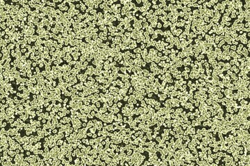 Fototapete - design yellow organic random noise digitally drawn backdrop illustration