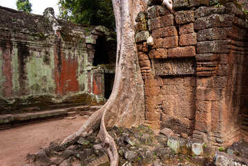 Wall Mural - Angkor Thom, ancient temple ruins in Cambodia jungle with tree roots