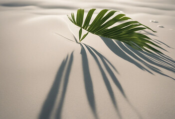 Palm leaf shadow on abstract white sand beach background sun lights on water surface beautiful abstr