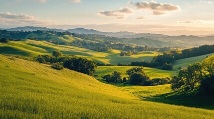 Wall Mural - Tranquil countryside view with gentle hills, a clear horizon, and vibrant green fields