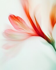 Aufkleber - Abstract Floral Red Alstroemeria in Gentle Soft Tones with Symmetrical Blurred Stems