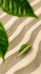 Poster - Abstract Zen Garden with Green Leaf and Symmetrical Beige Sand Waves in High Definition, Long Exposure and Wide-Angle Lens Perspective for Tranquil Mood