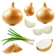 © Gasi - Vibrant yellow onion assortment, whole and halved bulbs, fresh green shoots, sliced rings and segments displayed on a clean white backdrop, showcasing culinary versatility and freshness