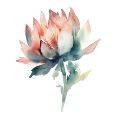 watercolor painting of a pink and green flower on a white background.