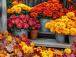© Hilary - Pots of colorful fall mums