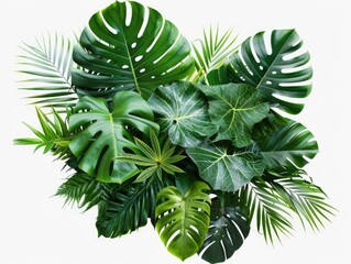 Wall Mural - Green tropical plants forming a circular arrangement, suitable for home decoration or illustrative purposes.