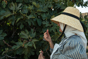 woman eats figs under a fig tree