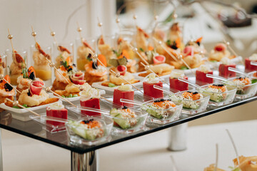 Assortment of delicious snacks on the open buffet festive table in restaurant. Catering plate