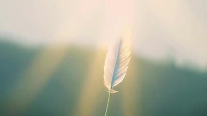 Aufkleber - A feather gently floating through a misty morning capturing the tranquil atmosphere of a new day.
