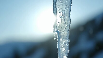 Poster - A closeup of an icicle melting in the sunlight capturing the intricate details of the slow dripping water.