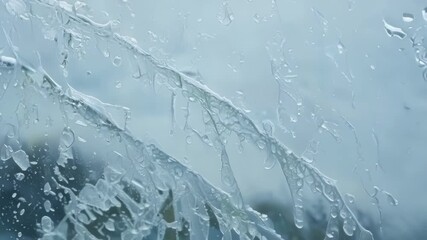 Aufkleber - A timelapse sequence captures the gradual formation of frost patterns on a window as tiny droplets of moisture freeze into a mesmerizing design.
