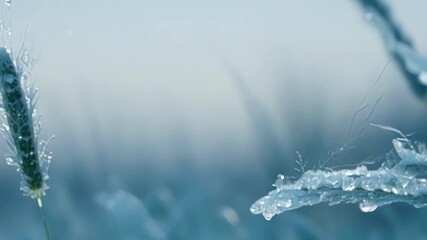 Aufkleber - A slow motion shot of frozen grass highlighting the delicate movement of the blades as they sway in the wind frozen in time.