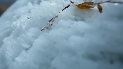 Poster - A closeup shot shows the rough grainy texture of the snowballs exterior with hints of dirt and debris stuck on its surface.