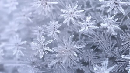 Poster - An extreme closeup reveals the fine feathery texture of the snowball with each individual snowflake visible and fragile.