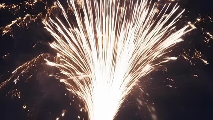 Poster - The camera captures a closeup of a large firework exploding in the night sky creating a cascade of glittering sparks that dance and twirl.