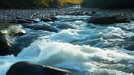 Poster - A mesmerizing view of the water swirling and churning as it navigates its way through narrow rocky channels in the river.