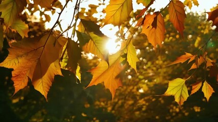 Poster - Leaves of different colors shapes and sizes swaying together in a synchronized motion as the wind blows through them.