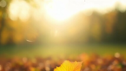 Poster - Vibrant leaves being blown off a tree branch and landing gracefully on the ground signifying the constant cycle of life and growth.