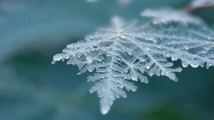Aufkleber - A macro view of a frostcovered leaf showcasing the intricate and unique patterns created by the frozen water molecules.