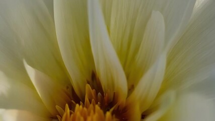 Aufkleber - A macro view of a buds center its layers upon layers of petals creating a breathtaking visual.