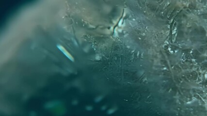 Aufkleber - Extreme closeup of a single spore magnifying its intricate structure and the unique patterns on its surface.