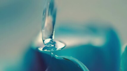 Poster - A single drop of water delicately rests on the tip of a rose petal showcasing the petals ability to hold and reflect moisture.