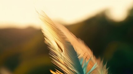 Poster - The camera zooms in on a colorful array of feathers perched on tree branches their delicate tips swaying in the gentle breeze.