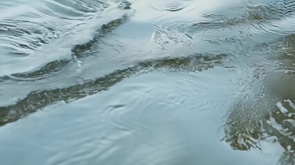 Poster - A detailed shot of raindrop ripples in a puddle showcasing the varying sizes and shapes of each individual ripple.