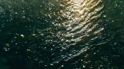 Aufkleber - A shot from above showing the contrast between the dark riverbed and the speckles of light created by the pebbles naturally peeking through the waters surface.