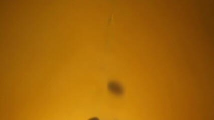 Aufkleber - A tight shot of a sunflower seed being dropped into a pile creating a small ripple effect a the other seeds.