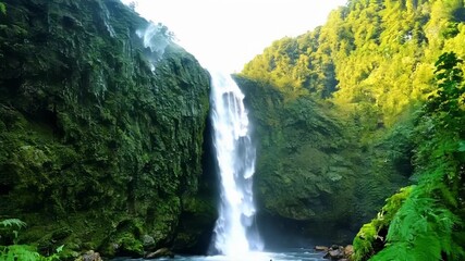 Aufkleber - Slow panning shot of the waterfall spray highlighting the lush green surroundings and natural beauty.