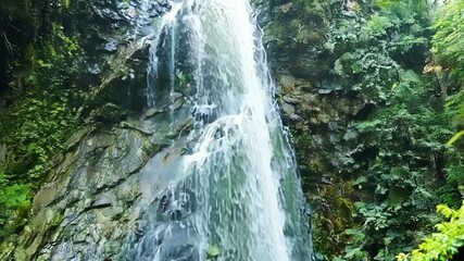 Poster - Enchanting footage of the waterfall spray revealing hidden details of the shimmering water and lush greenery around it.