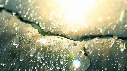 Aufkleber - As the sun shines through the window the melting frost creates a mesmerizing dance of light and shadow reflecting off of the textured surface.